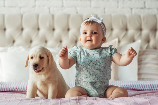 Little baby girl sit  on the bed with labrador puppy