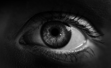 Macro shot of female human eye in black and white toned. - 155329852