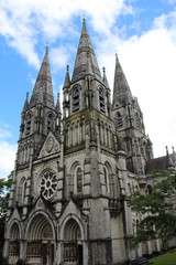 Saint Fin Barre's Cathedral Cork city Ireland