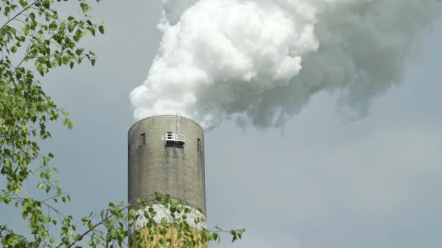 Close up shot of an industrial smoke stack producing emissions framed by a leafy tree as a concept for how trees and forests purify the air by turning carbon-dioxide or CO2 into oxygen.