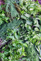 Fresh greens in bunches on a wooden table - mint, parsley, dill, rosemary, thyme, tarragon, coriander, top view