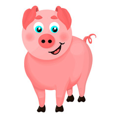 Isolated illustration of a cartoon pig