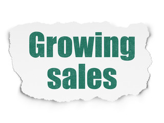 Business concept: Growing Sales on Torn Paper background