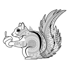 cute squirrel eats nut nature wildlife image vector illustration