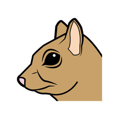 cute squirrel head eats nut nature wildlife image vector illustration
