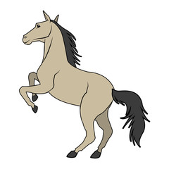 Horse on two legs vector illustration