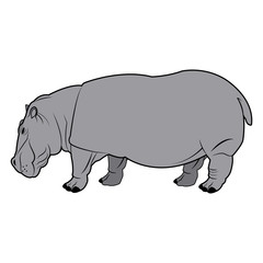 hippo standing animal naturalist wildlife style, vector illustration