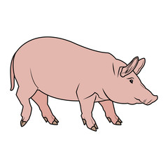 cute pig cartoon animal farm image vector illustration