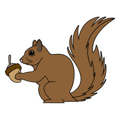 cute squirrel eats nut nature wildlife image vector illustration