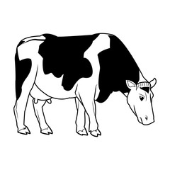holstein cow standing farm bovine image vector illustration