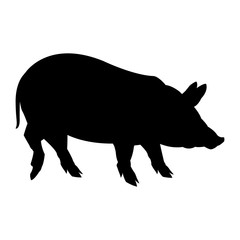 cute pig cartoon animal farm image vector illustration