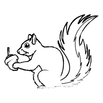 cute squirrel eats nut nature wildlife image vector illustration