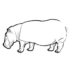 hippo standing animal naturalist wildlife style, vector illustration