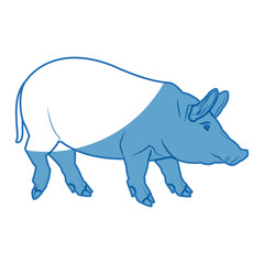 cute pig cartoon animal farm image vector illustration