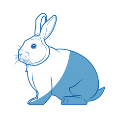 Fototapeta na wymiar wild rabbit nature rodent farm image vector illustration