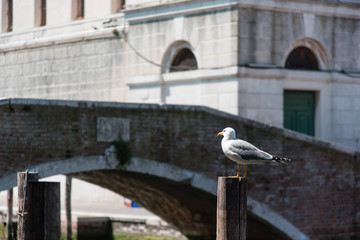 Reflections along the canals of Chioggia, Venice and its lagoon.