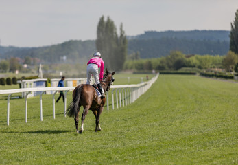racing horse coming first to finish line