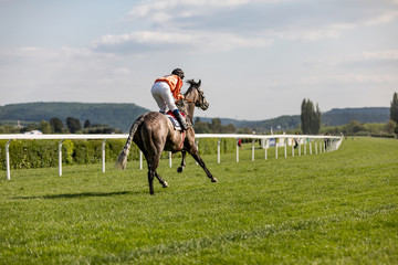 racing horse coming first to finish line