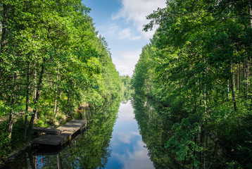 Scenic landscape with channel and lush trees at bright summer day in Finland