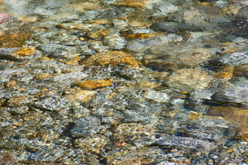 crystal clear water and colorful stones of wild river verzasca