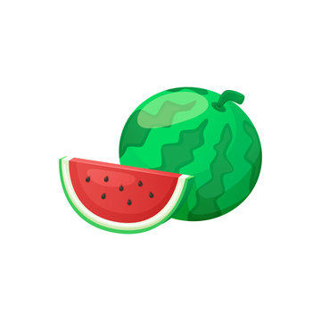 Watermelon vector isolated illustration