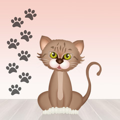 grey cat