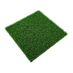 Square of green grass field on white. 3D illustration