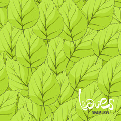 leaves illustration