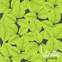 leaves illustration