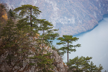 Obraz premium View from Tara mountain in Serbia, Europe. Drina river in the distance.