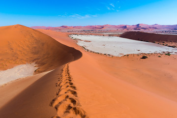 Fototapeta na wymiar The scenic Sossusvlei and Deadvlei, clay and salt pan surrounded by majestic sand dunes. Namib Naukluft National Park, main visitor attraction and travel destination in Namibia.