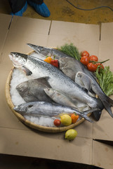 mix fresh fish on bamboo round tray with fresh vegetables with ice on brown background
