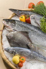 mix fresh fish on bamboo round tray with fresh vegetables with ice on brown background
