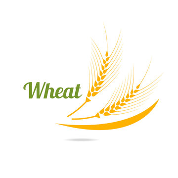 Logotype template with wheat.
