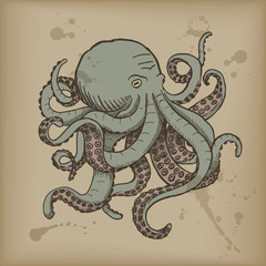 Octopus. Vector vintage illustrations. Isolated on white background.