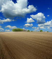 Fototapeta na wymiar arable land and clouds