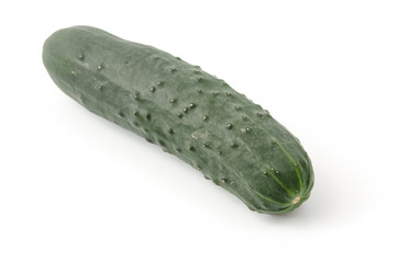 Landgurke