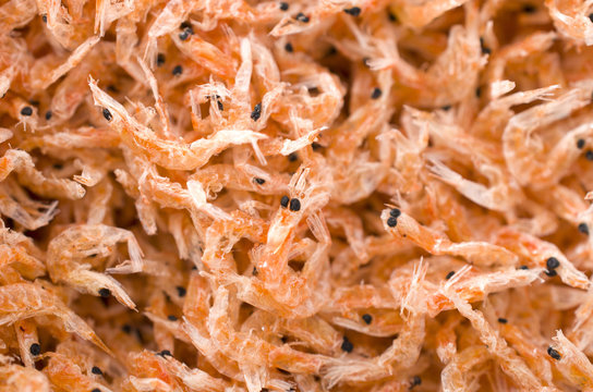 24 Best 沖醤蝦 Images Stock Photos Vectors Adobe Stock