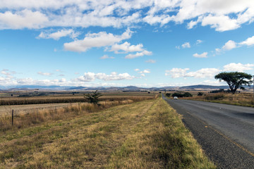 Asphalt Road Running Through Dry Orange Winter Mountain Landscape