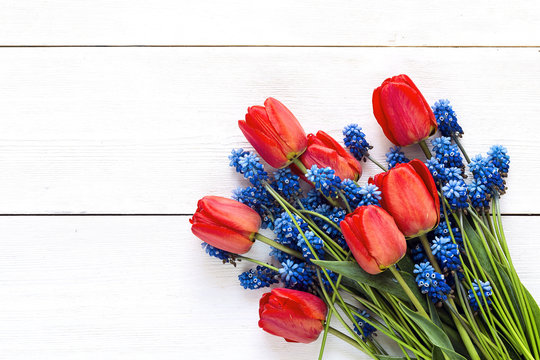 Fototapeta Bouquet of red tulips and blue muscaries flowers on white wooden background. Place for text.