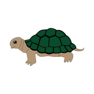 Turtles logo colored on a white background