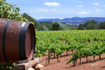 Wooden wine barrel against a vineyard landscape. Cloudy sky and empty copy space for Editor's text.