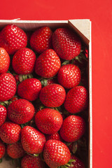 Strawberriesin a wooden box on red background