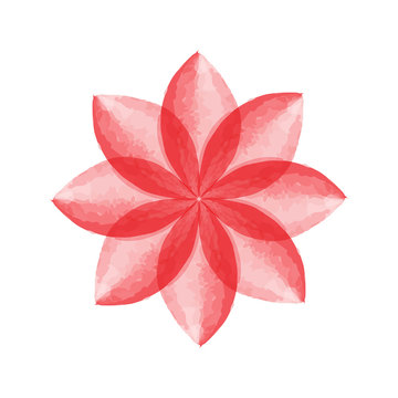 Watercolor flower vector illustration