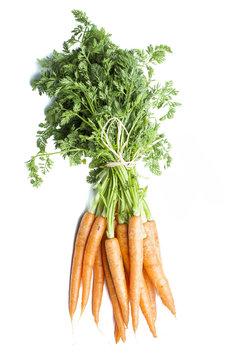 Bunch of carrot isolated on white