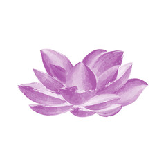 Watercolor lotus flower vector illustration