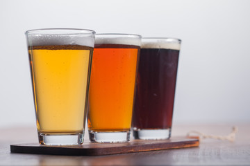     Assorted beers in a flight ready for tasting 