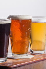     Assorted beers in a flight ready for tasting 