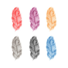 Watercolor feathers illustration