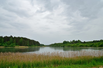 Russian landscape with a pond in Pushkin Mikhailovskoe
